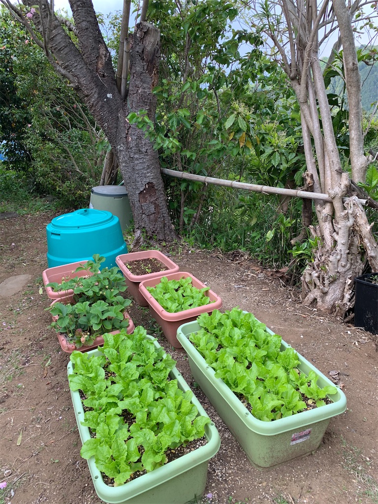 f:id:jijiro:20200428083214j:image f:id:jijiro:20200428083214j:image