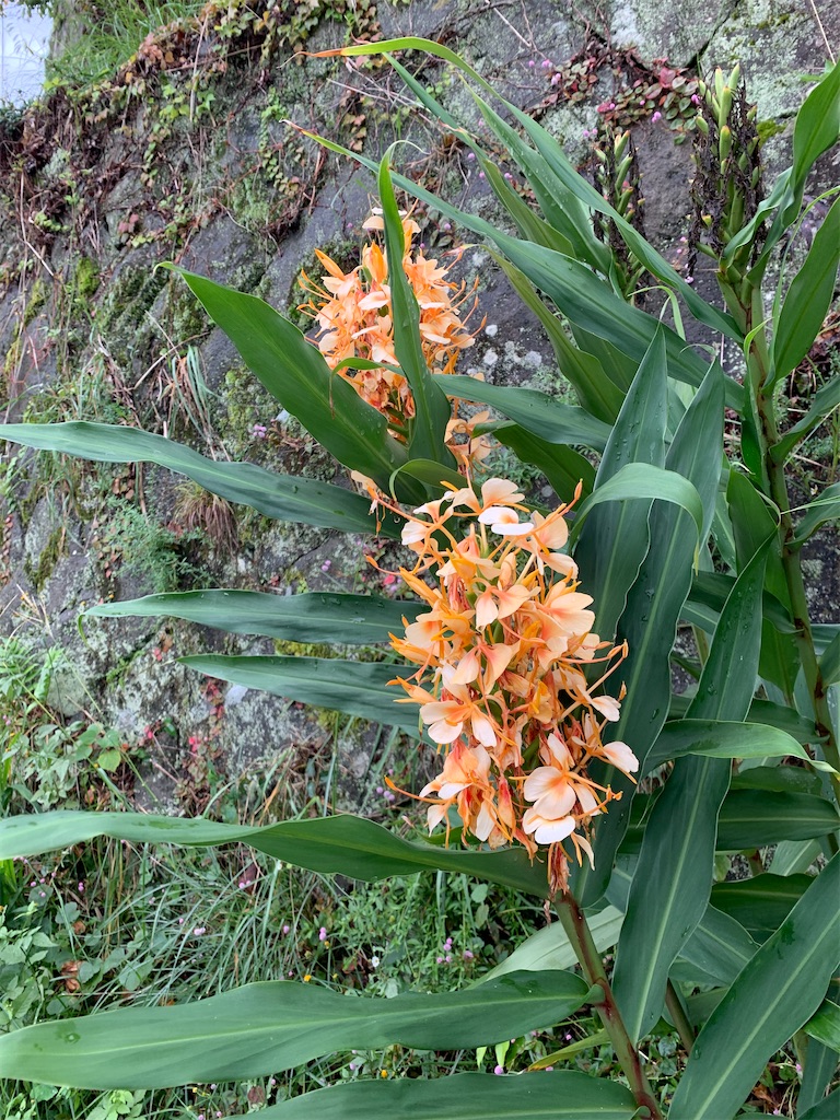 f:id:jijiro:20211020094854j:image f:id:jijiro:20211020094854j:image