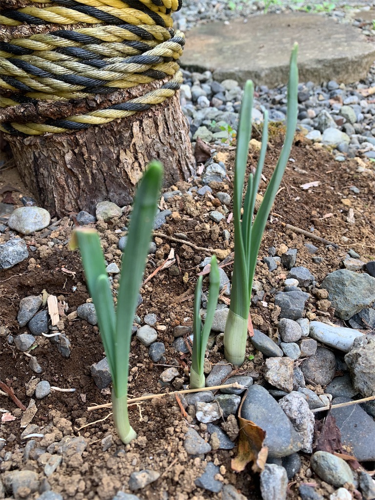 f:id:jijiro:20211104092835j:image f:id:jijiro:20211104092835j:image