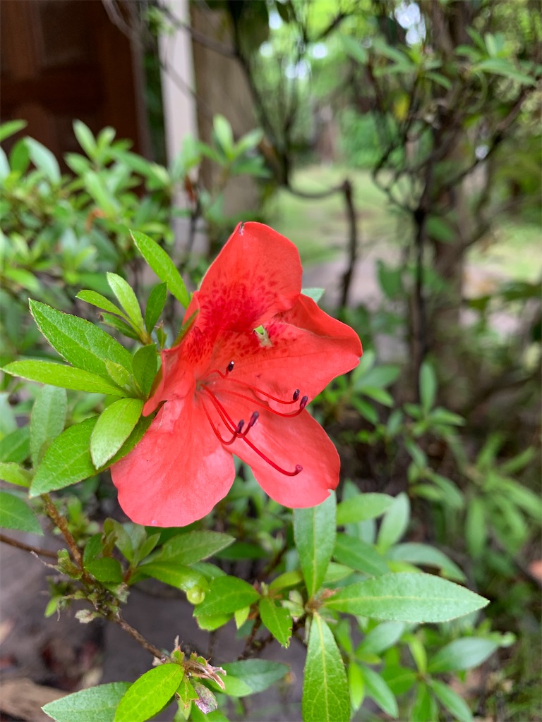 f:id:jijiro:20220516100423j:image f:id:jijiro:20220516100423j:image