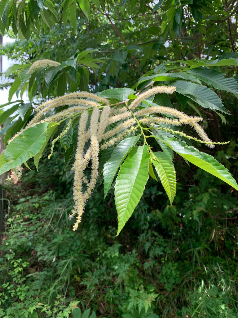 f:id:jijiro:20230527103005j:image f:id:jijiro:20230527103005j:image