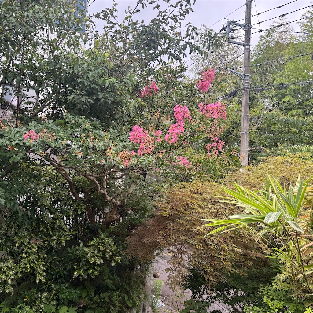 f:id:jijiro:20260809034844j:image