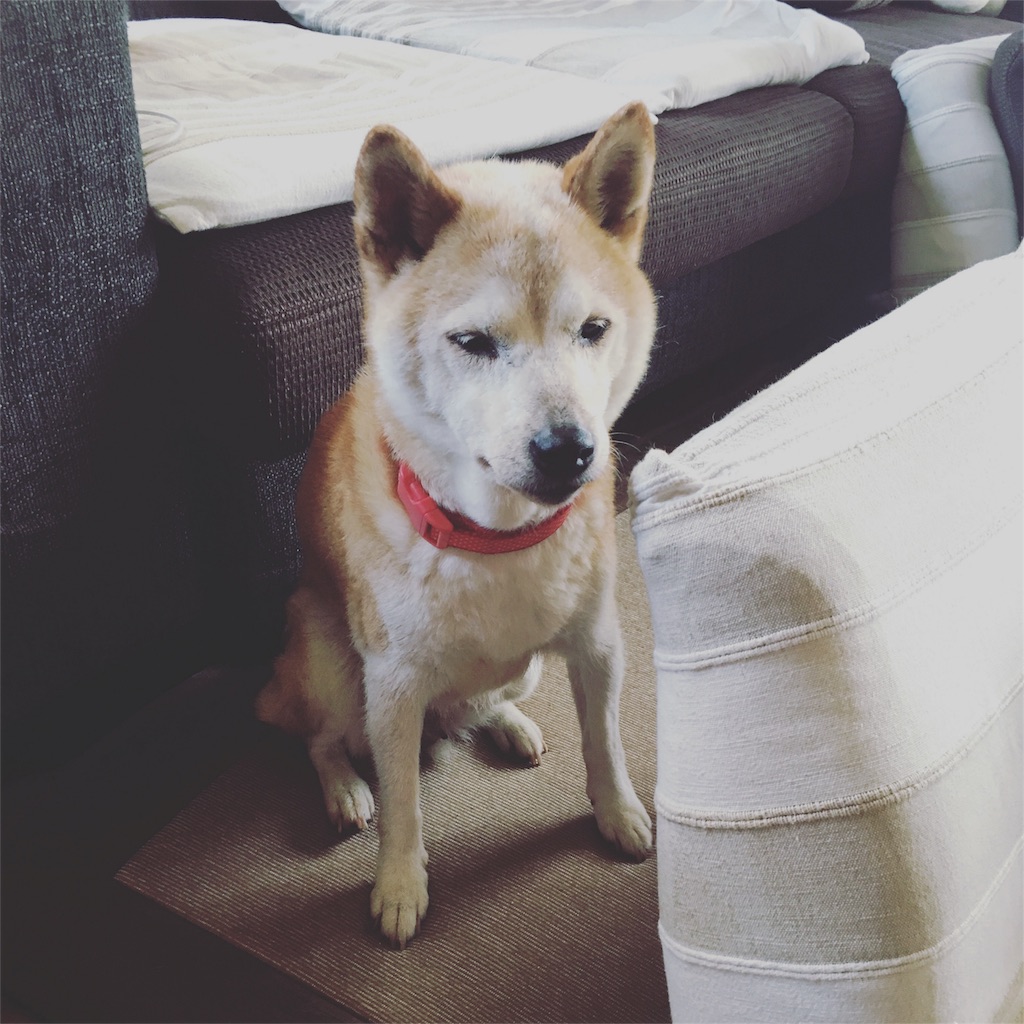 f:id:jikan2205:20160919150824j:image f:id:jikan2205:20160919150824j:image