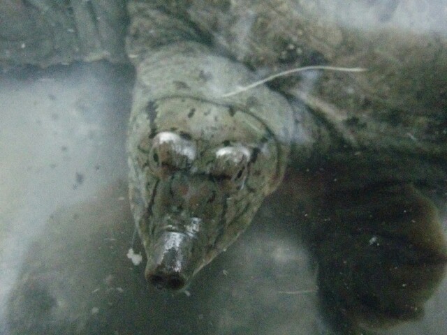 f:id:jikaseimenkirinji:20161224143456j:image f:id:jikaseimenkirinji:20161224143456j:image