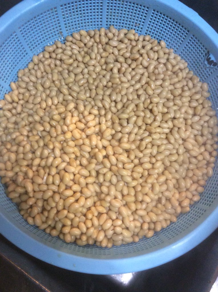 f:id:jikaseimenkirinji:20190228160555j:plain f:id:jikaseimenkirinji:20190228160555j:plain