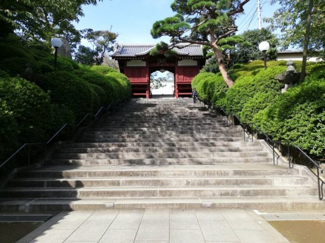 護国寺散策&重要化財「月光殿」特別拝観 - ていないブログ-ゆるミニマリストで整理収納アドバイザーなイン...