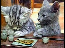 f:id:jikokoutei:20190718183638j:plain f:id:jikokoutei:20190718183638j:plain