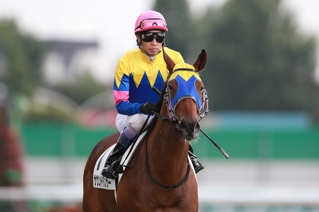 f:id:jikuuma:20180929030256j:plain