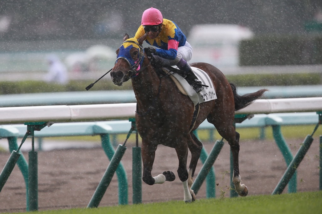 f:id:jikuuma:20180929214742j:plain