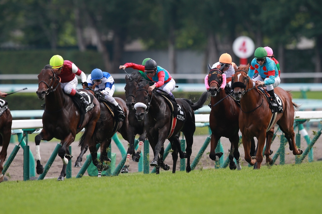 f:id:jikuuma:20181002175524j:plain f:id:jikuuma:20181002175524j:plain