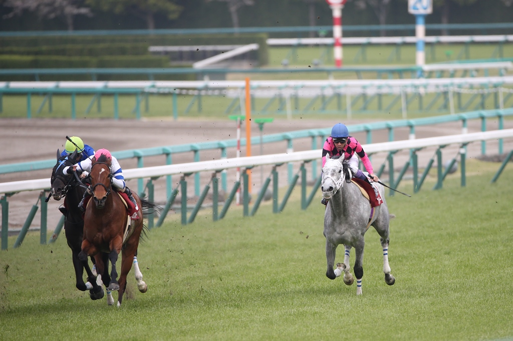 f:id:jikuuma:20181003211721j:plain