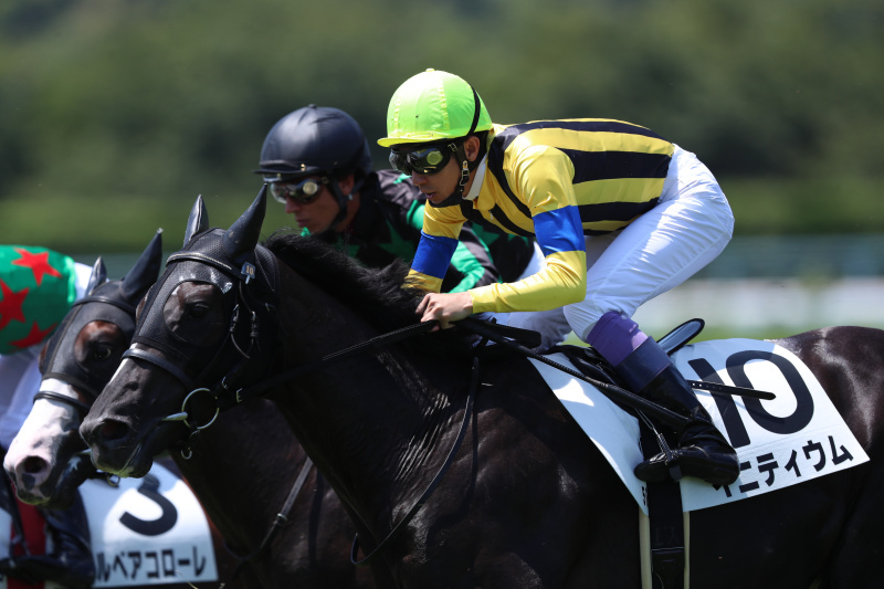 ジャパンカップ18予想 追い切り後分析 打倒アーモンドアイに燃える実績上位の古馬で勝負 調教パターンの切り替えが好走のサイン レッドアタックの競馬予想ブログ