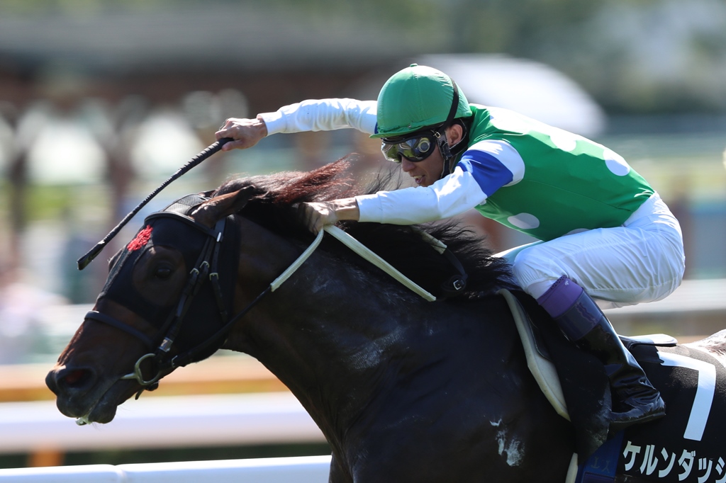 川崎マイラーズ2020の馬券予想!意外と人気 ...