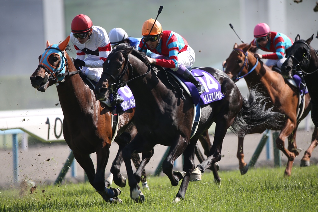 やまびこ ステークス