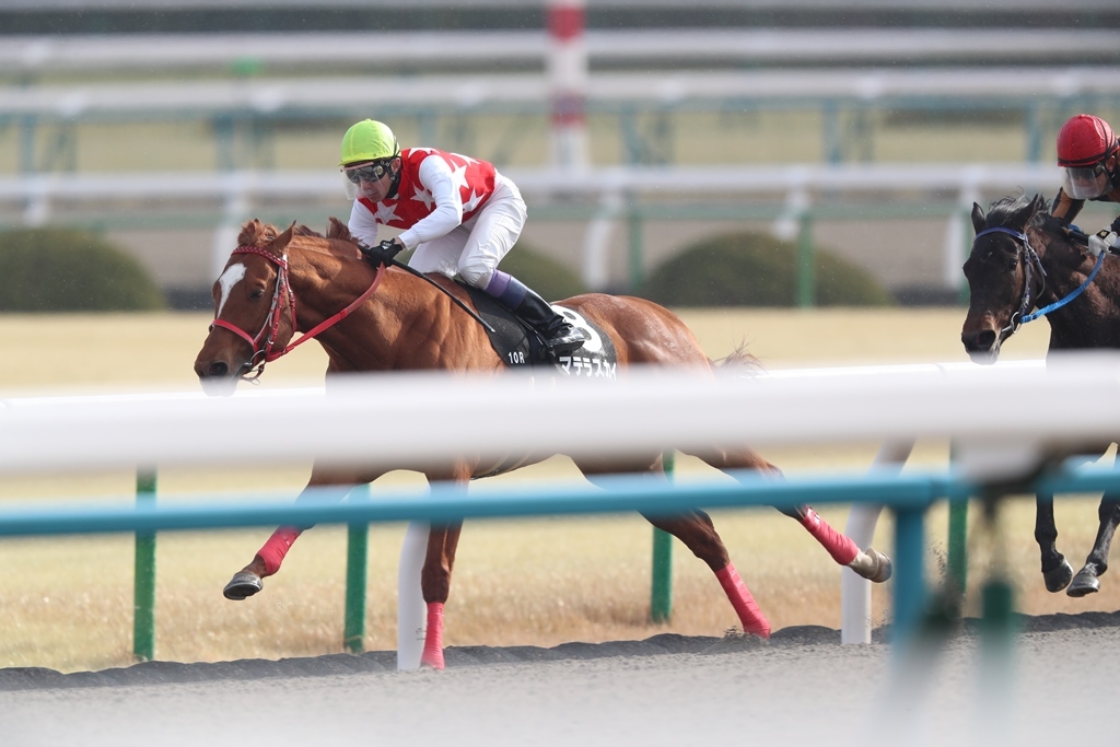 競馬 桜花 賞 2020