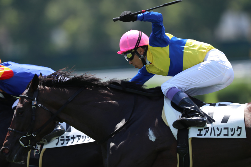 ヴィクトリア マイル 出走 予定