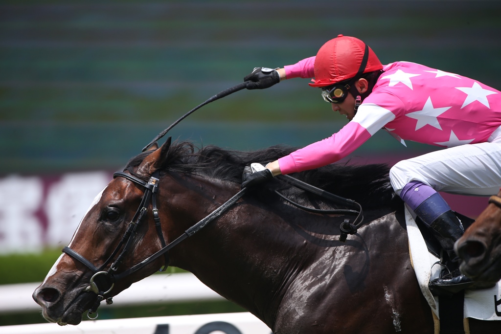 f:id:jikuuma:20201005112545j:plain