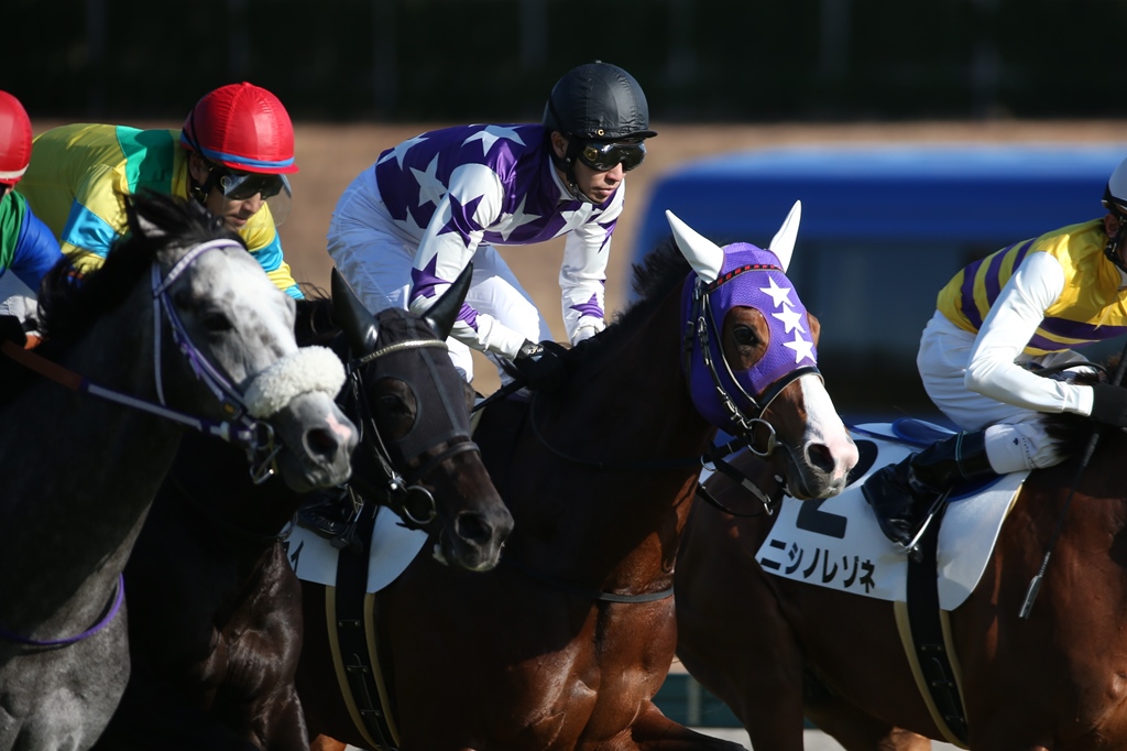 f:id:jikuuma:20201010213028j:plain