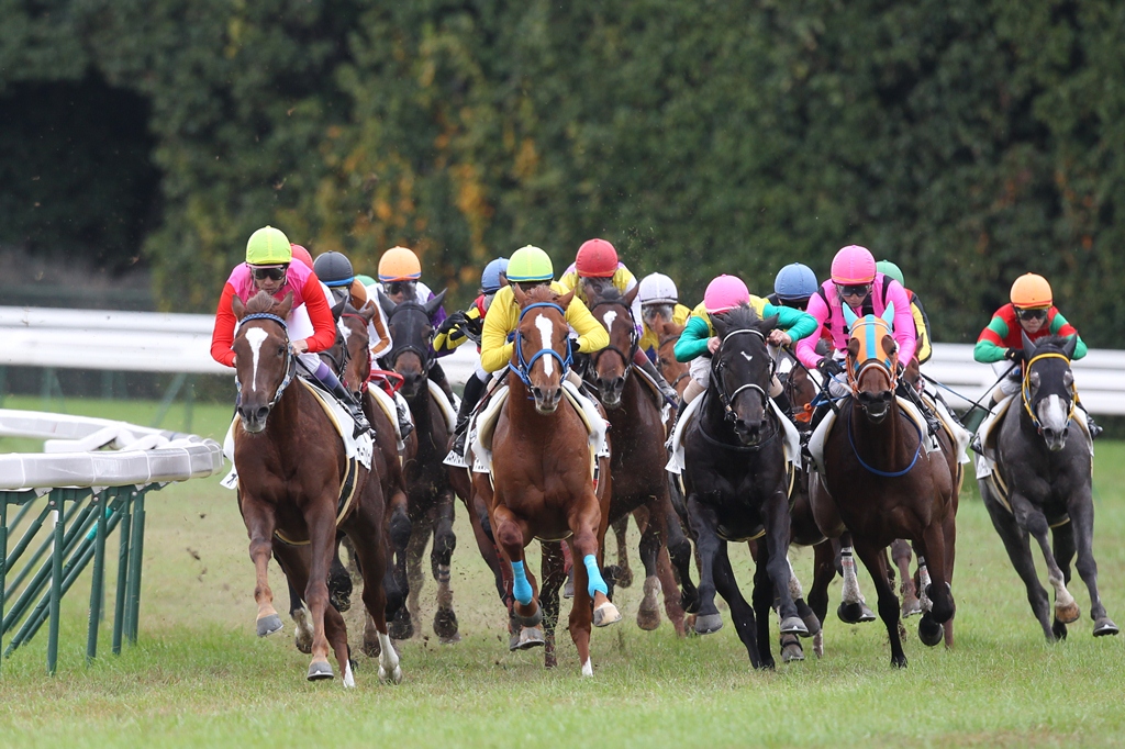 f:id:jikuuma:20201012205744j:plain