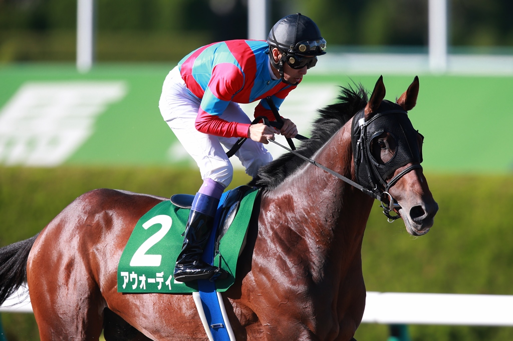 f:id:jikuuma:20201014171632j:plain