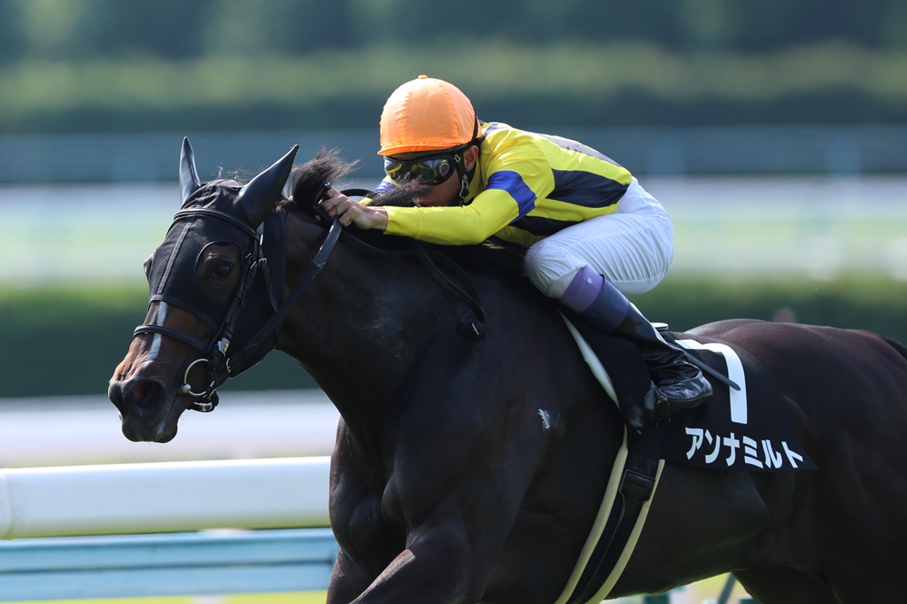 f:id:jikuuma:20201021085855j:plain