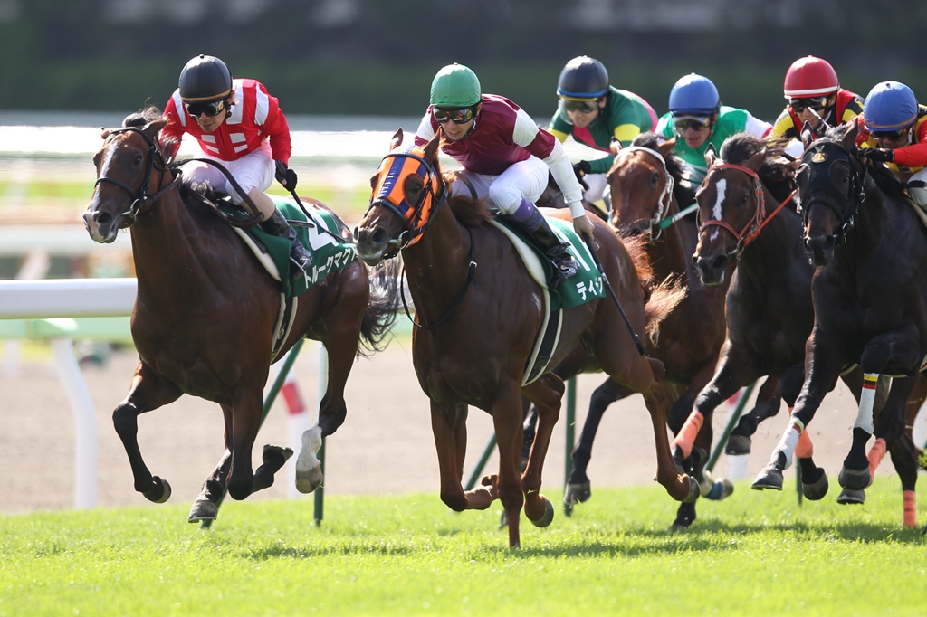 f:id:jikuuma:20201026052819j:plain