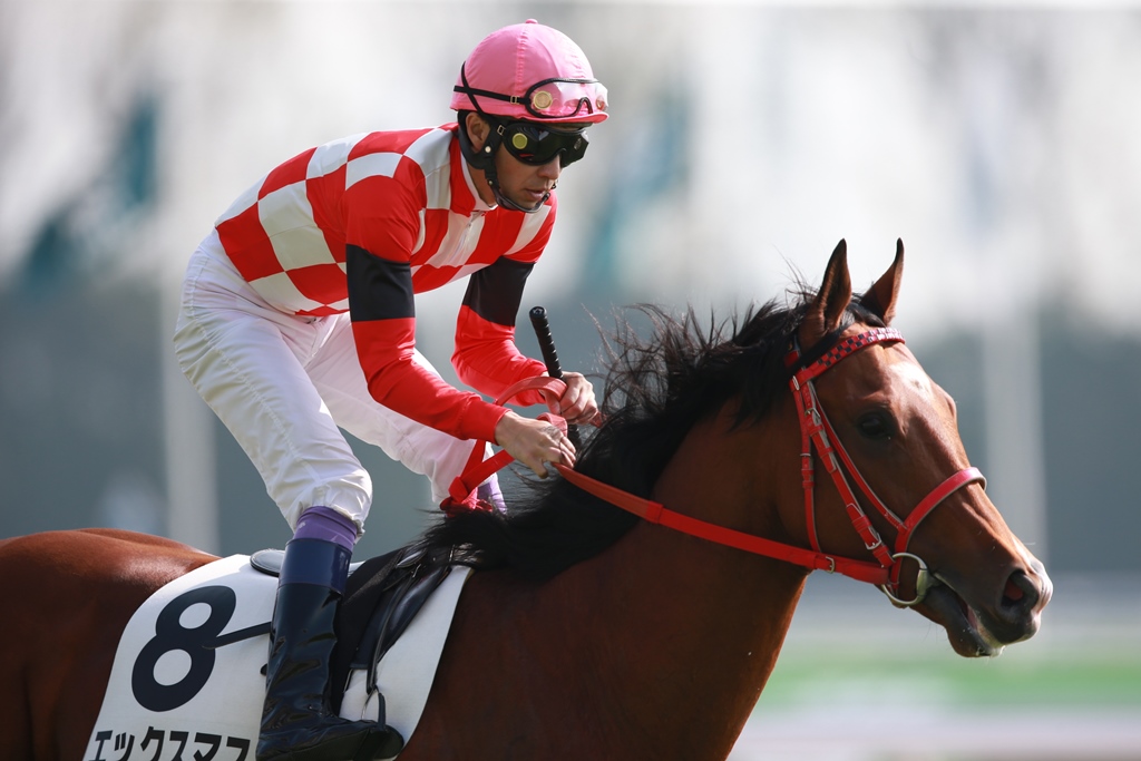 f:id:jikuuma:20201029063245j:plain