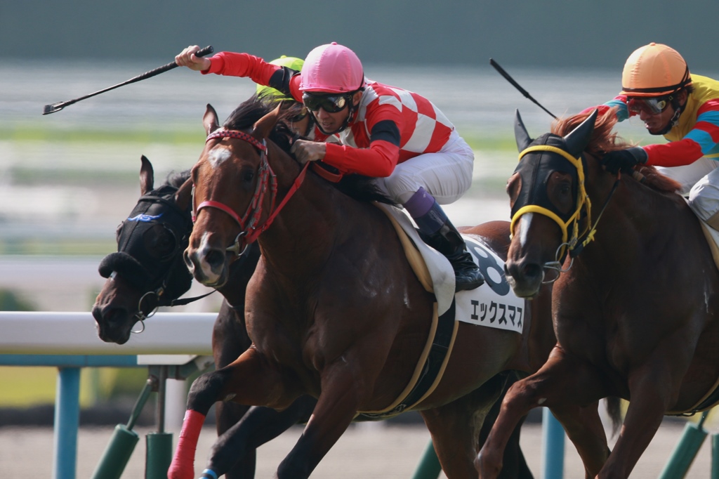 f:id:jikuuma:20201030103552j:plain