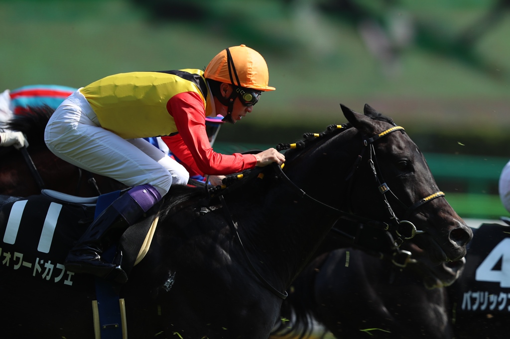 f:id:jikuuma:20201106163355j:plain