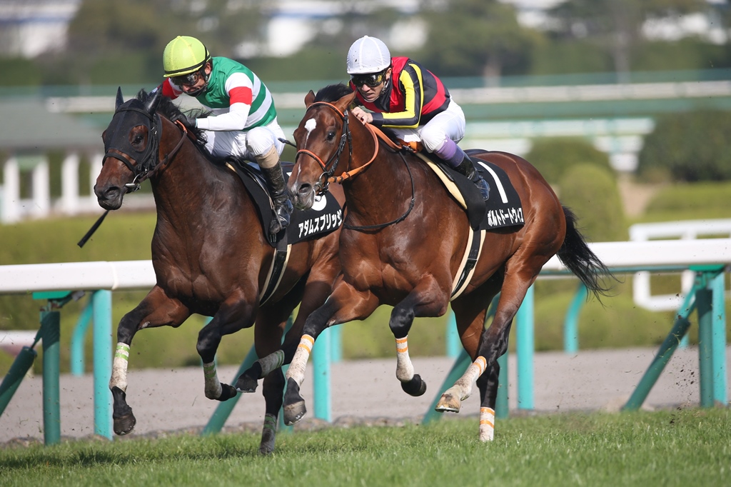 f:id:jikuuma:20201111084757j:plain