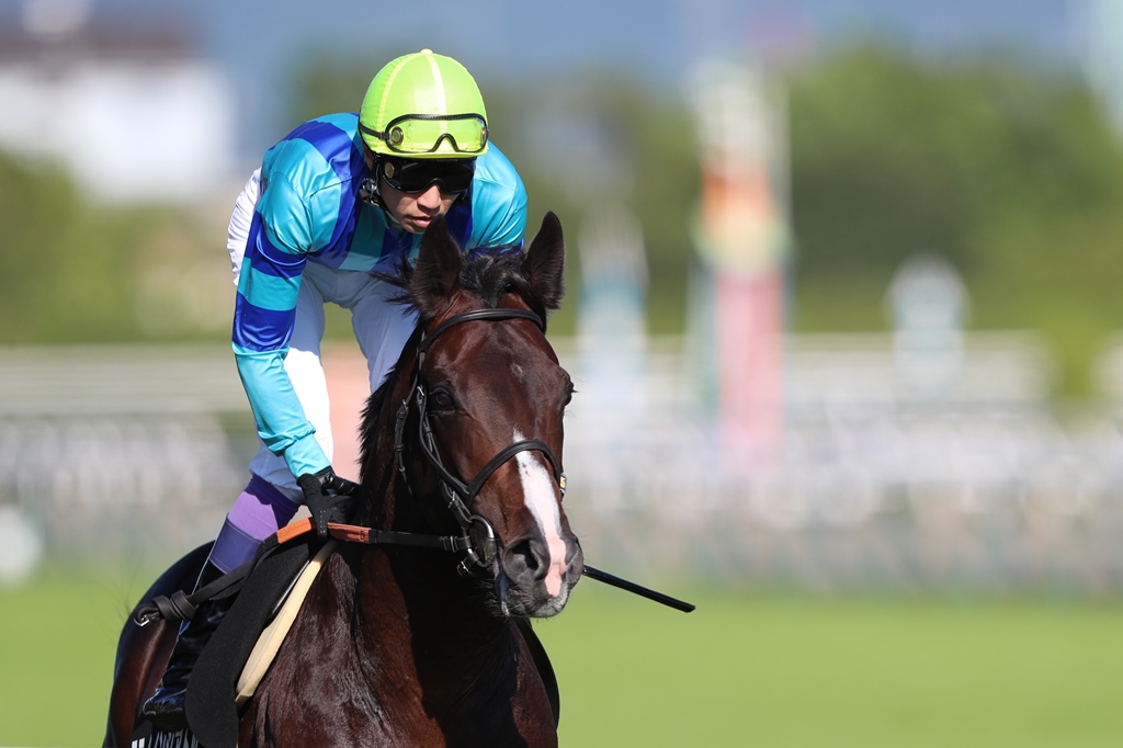 f:id:jikuuma:20201114104105j:plain