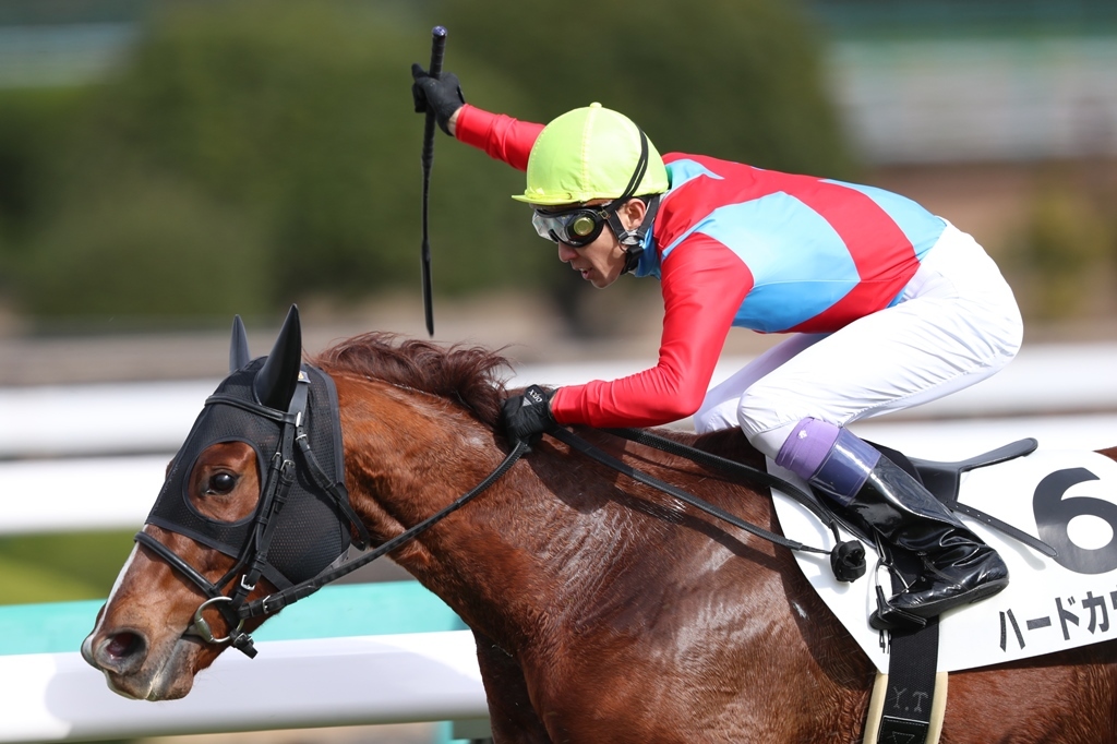 f:id:jikuuma:20201117004420j:plain