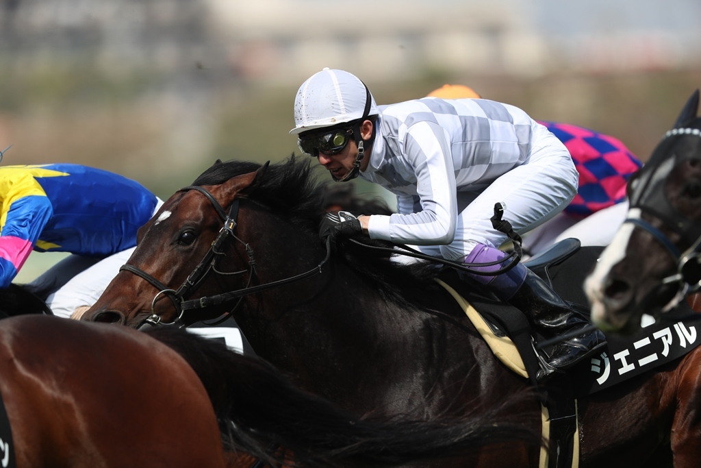 f:id:jikuuma:20201121000656j:plain