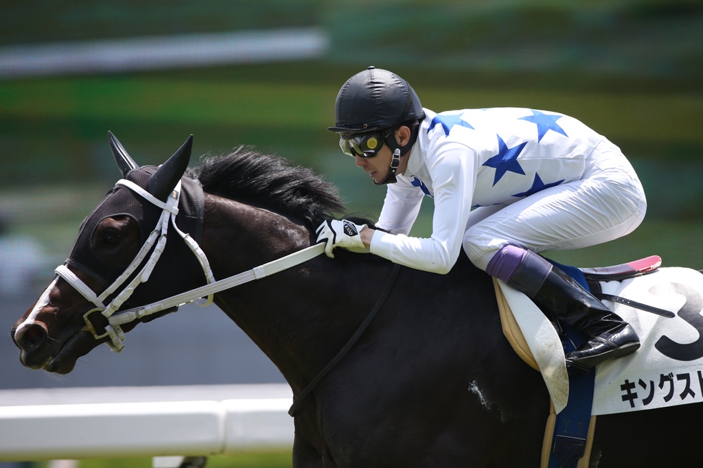 f:id:jikuuma:20201126231247j:plain