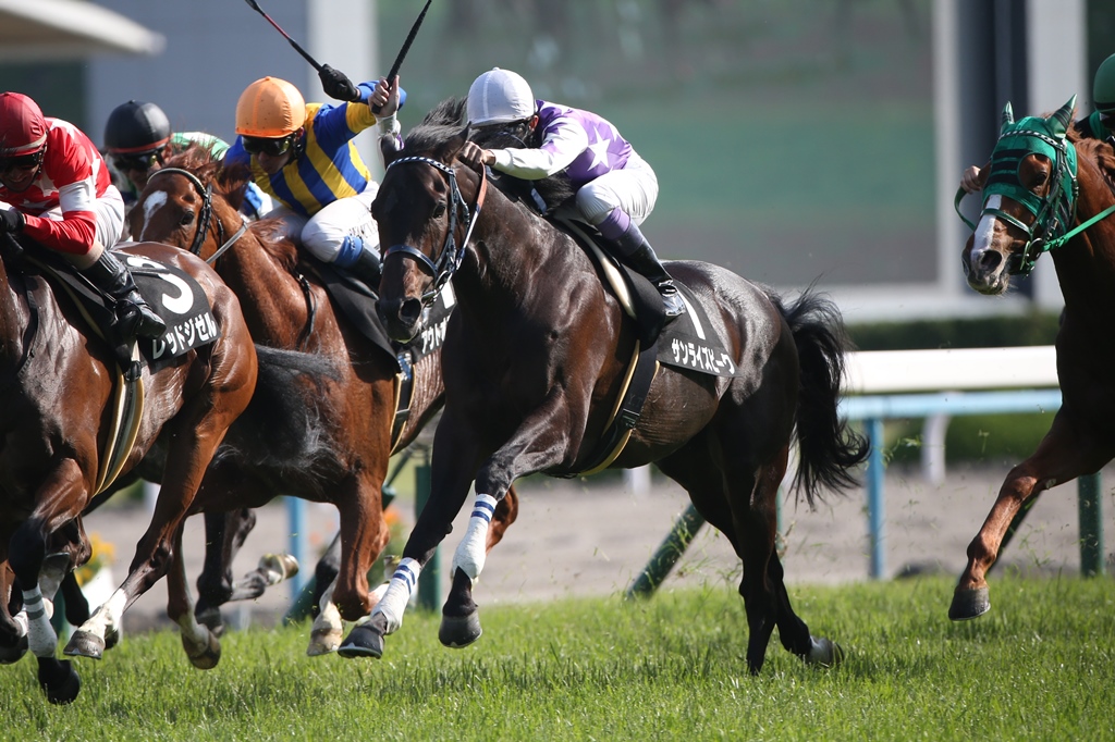 f:id:jikuuma:20201203231358j:plain