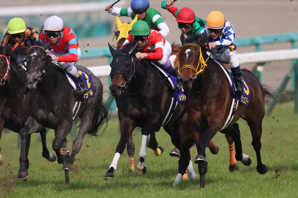 f:id:jikuuma:20201206093432j:plain