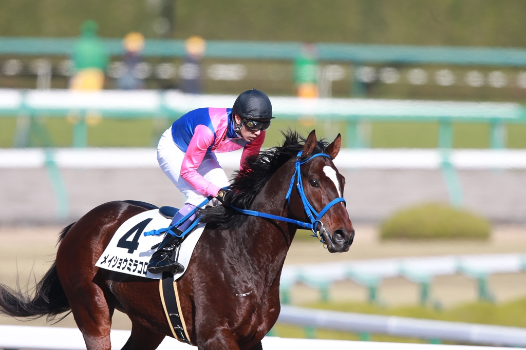 f:id:jikuuma:20201206183752j:plain