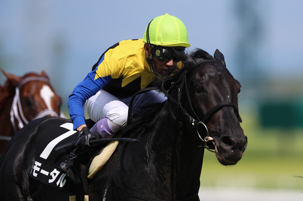 f:id:jikuuma:20201211221847j:plain