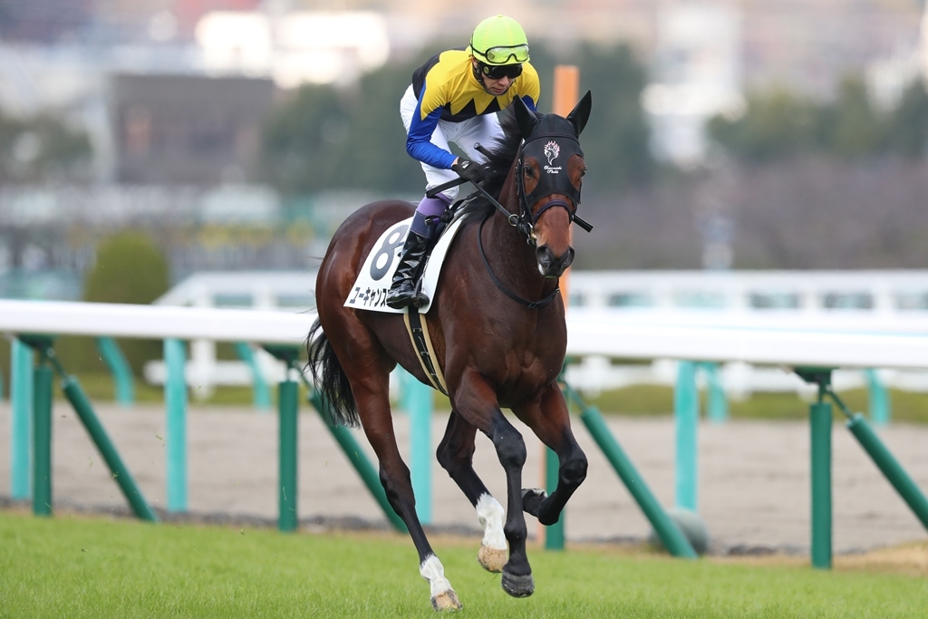 f:id:jikuuma:20201213221921j:plain