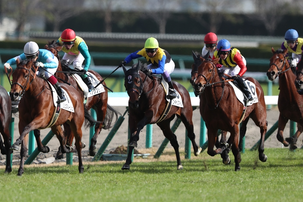 f:id:jikuuma:20201215232900j:plain