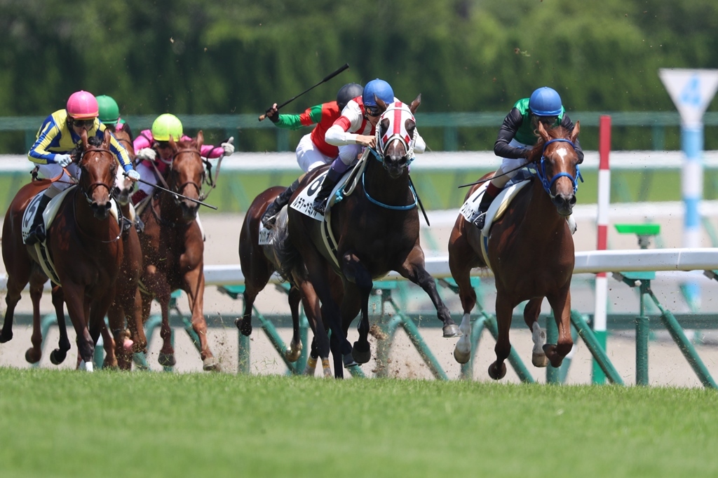 f:id:jikuuma:20201219041502j:plain