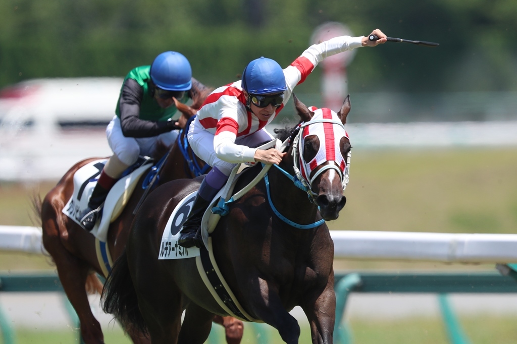 f:id:jikuuma:20201219204328j:plain