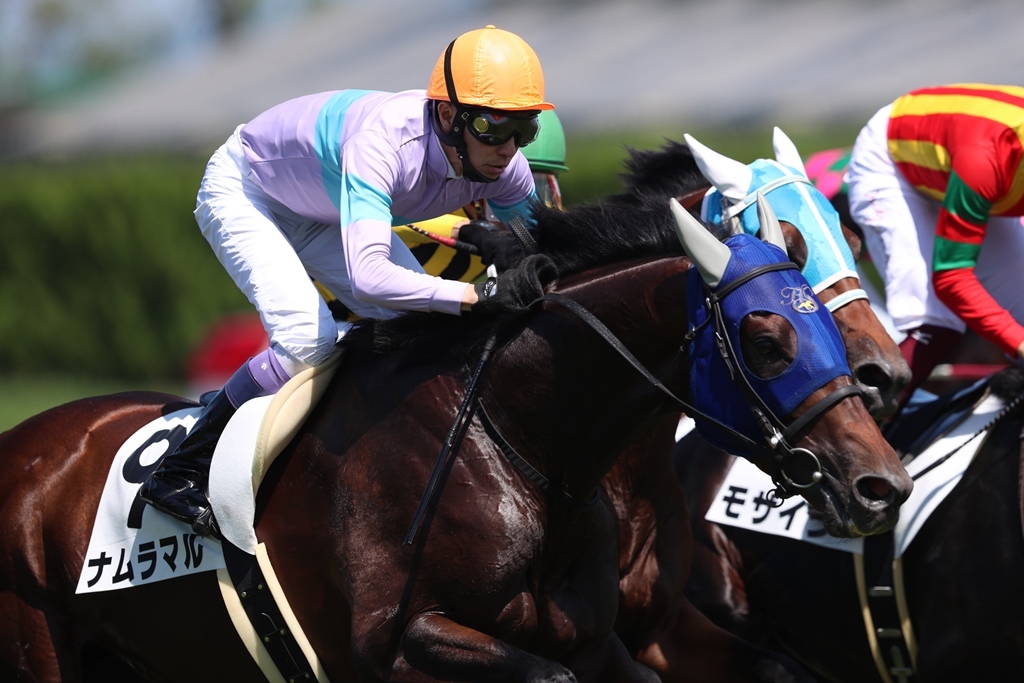 f:id:jikuuma:20201222050302j:plain