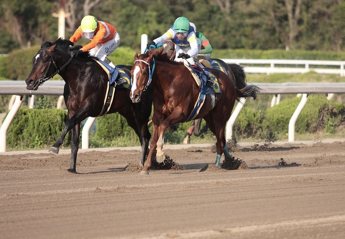 f:id:jikuuma:20201223122202j:plain