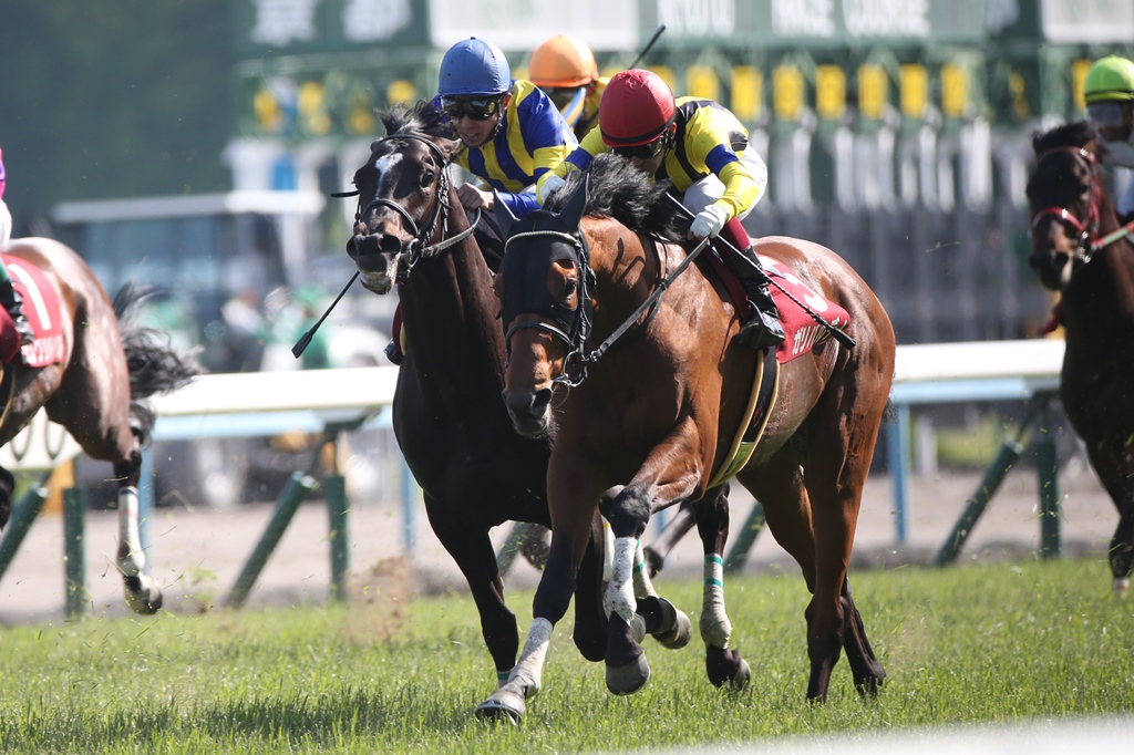 f:id:jikuuma:20201226214143j:plain