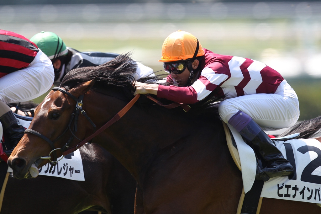 f:id:jikuuma:20201229205702j:plain