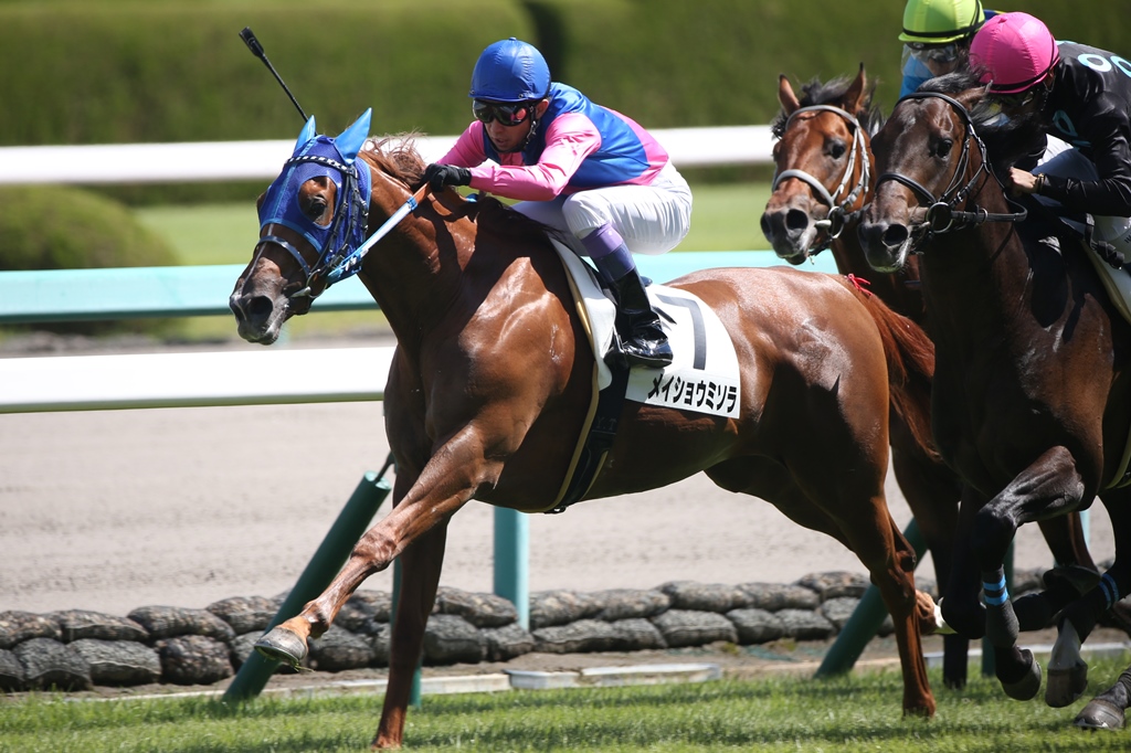 f:id:jikuuma:20210109085426j:plain