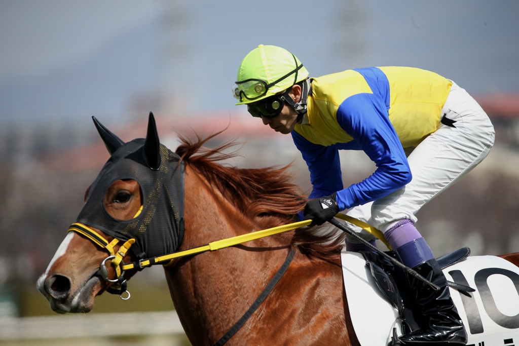 f:id:jikuuma:20210109214155j:plain