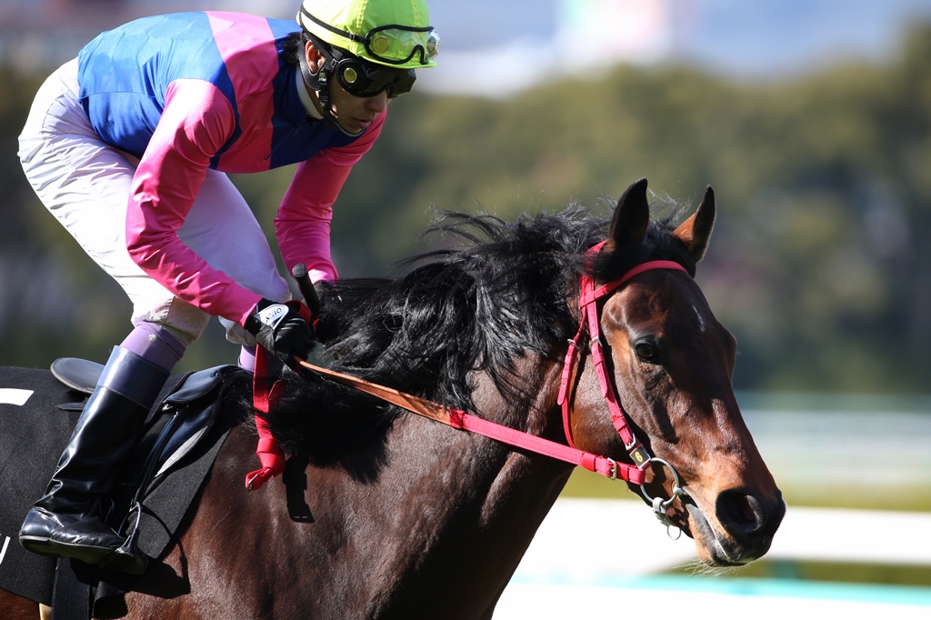 f:id:jikuuma:20210115083407j:plain