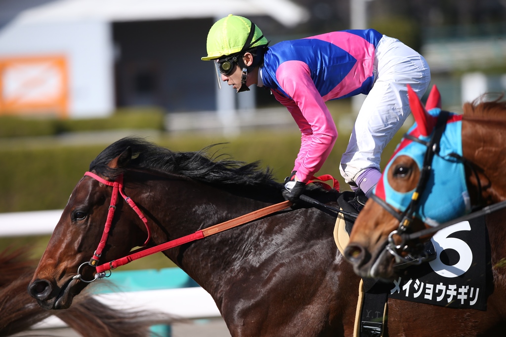 f:id:jikuuma:20210116104932j:plain